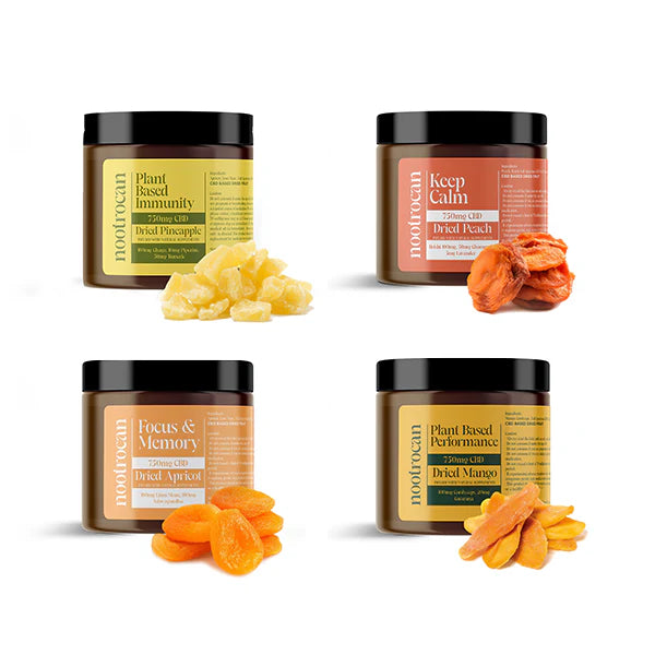 Nootrocan 750mg CBD Nootropic Dried Fruits Product 300g