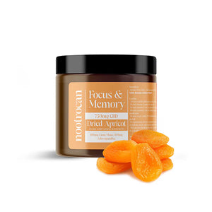 Nootrocan 750mg CBD Nootropic Dried Fruits Product 300g