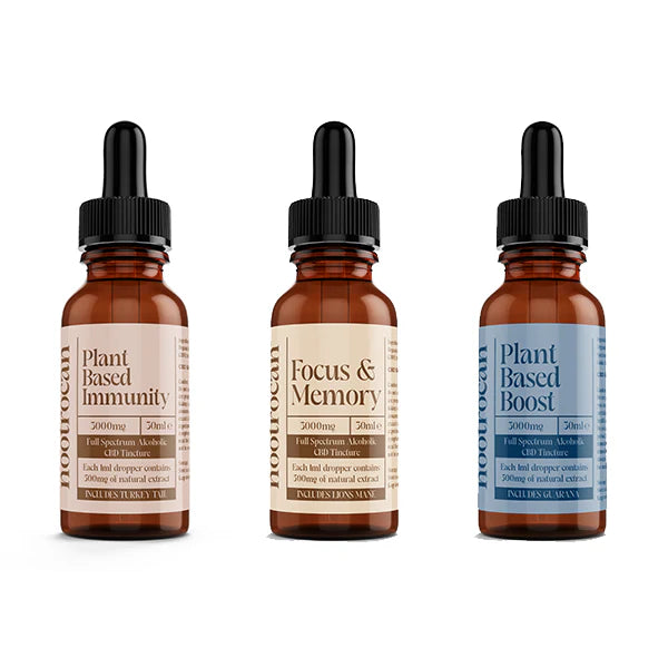Nootrocan 3000mg CBD Nootropic Tincture Product 30ml