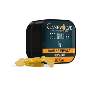 Canevolve CBD Shatter Product 1g