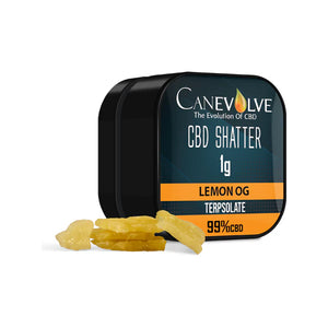 Canevolve CBD Shatter Product 1g