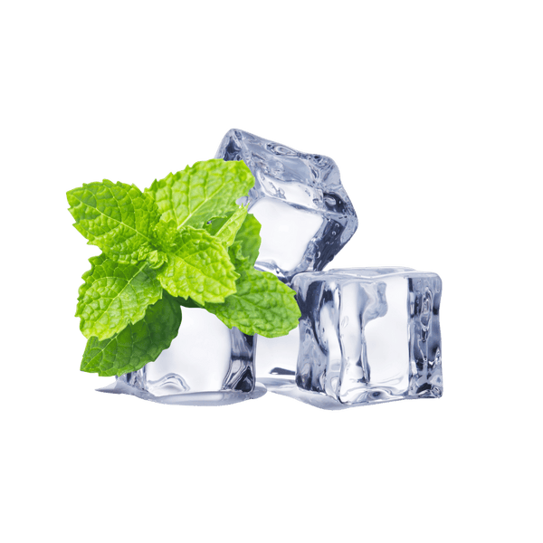 Ice & Menthol